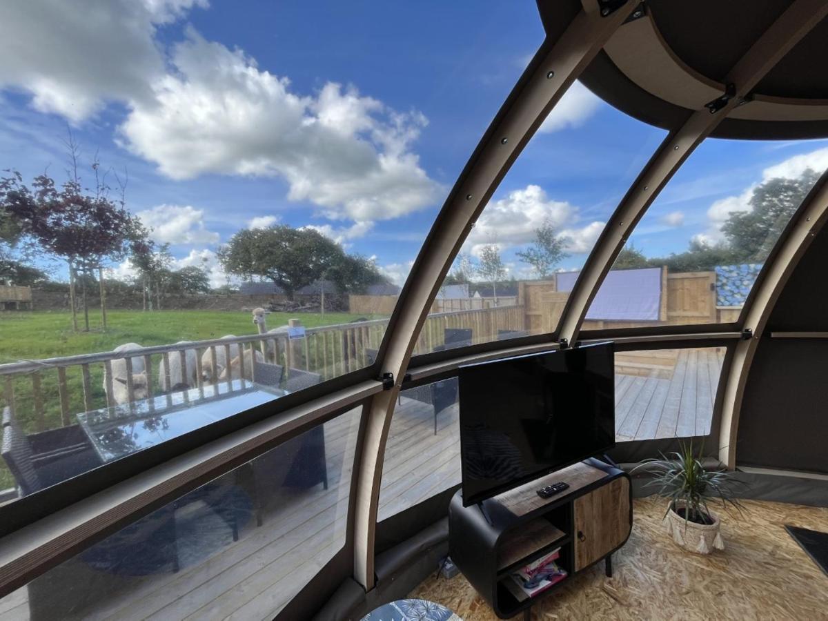 Sunrise Dome Tent Tenby Zewnętrze zdjęcie